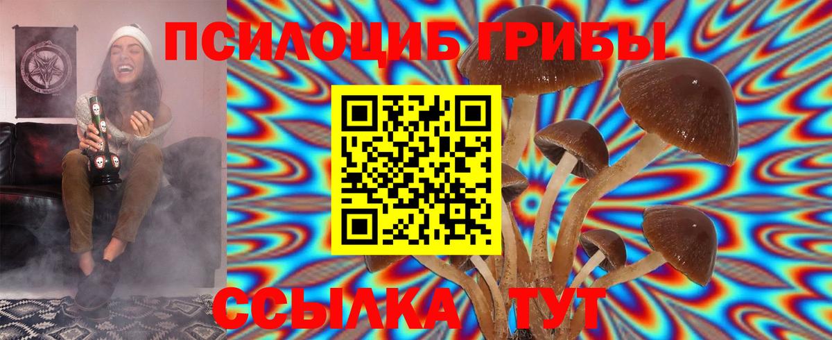 Снежинск  Псилоцибиновые грибы Cubensis  Вход с VPN  что такое   Галлюциногенные грибы ЛСД 